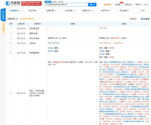 計算機軟件的技術(shù)開發(fā)與銷售 創(chuàng)新驅(qū)動與市場策略的融合
